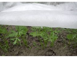 Spring agrotekstil hvid 17g 1,6m x 100m