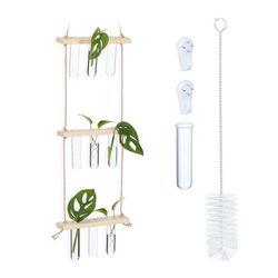 Forplantningsstasjon for hengende planter