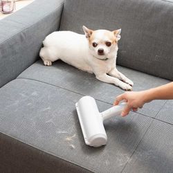 Rull til Fjerning av Kjæledyrs Hår Rellair InnovaGoods