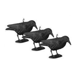 Scarecrow Crow sett med 3