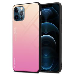 Deksel til iPhone 12 PRO MAX Silikondeksel av TPU-silikon og bakside av herdet glass