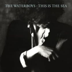 The Waterboys - This Is The Sea (CD)