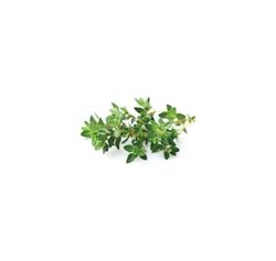 Click & Grow Smart Garden refill Timian 3stk