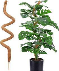 Lollanda Mosspålar för klätterväxter,Böjbar Mossestav - Växtstöd / stödstav 120cm,Klätterstöd för klättrande växter, murgröna och monstera