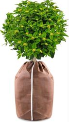 OBOSOE Växtskydd för Vinter – Frostskydd med Dragsko och Dragkedja för Utomhusväxter, Fruktträd och Krukväxter