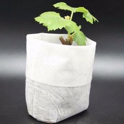 100-Pak - Tomme Frøposer / Poser til Frøplanter - Plante