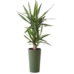 Urbanika ECO træ urtepotte grøn h46 cm