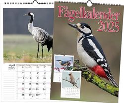 Fågelkalender 2025 (Bok)