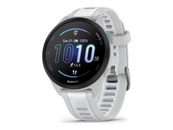 Garmin Forerunner 165 - Disgrå - sportsur med bånd - silikon - hvitstein - håndleddstørrelse: 126-203 mm - display 1.2" - 4 GB - Bluetooth, ANT+ - 39