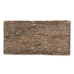 BioVirgin korkbaggrund mørk 60x30 cm korkbaggrund til terrarier