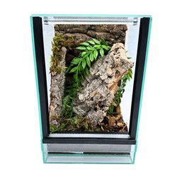 Glasterrarium med utrustning 20x20x30cm set för trädspindlar