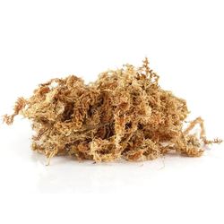 Presset tørvemos Sphagnum mos 8l briket 100g til terrarium Spagmoss Besgrow