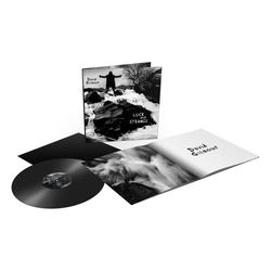Gilmour David: Luck and strange (Vinyl LP)