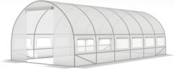 Folietunnel drivhus med vinduer 600 x 300 x 200 cm Hvid
