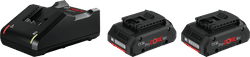 Bosch Professional 18V 4,0 Ah accu (2x) + oplader