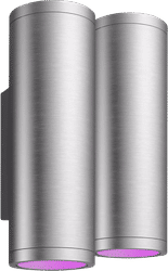 Philips Hue Appear muurlamp White & Color - RVS Duo Pack