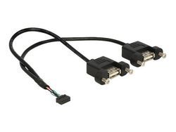 Delock - Intern-til-ekstern USB-kabel - 10-pins USB-kontakt (hunn) til USB (hunn) - 25 cm - svart