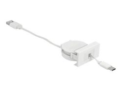 Delock - USB-kabel - USB (hane) till USB-C (hane) - USB 2.0 - 5 V - 2 A - 50 cm - indragbar, platt - vit, RAL 9003