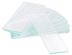 Levenhuk G50 1H objektglass blank, enkelt hul, 50 stk