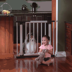 KidCo Metro Gateway in Aluminum Gate