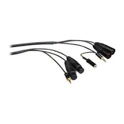 Canare Breakaway Cable for Portable Mixers with Monitor Output 15' CABACX15