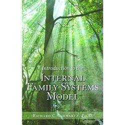 Introduction To The Internal Family Systems Model