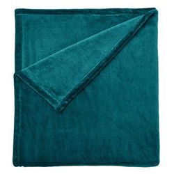 BH Studio Microfleece Blanket by BH Studio in Peacock (Size TWIN)