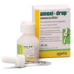 (Amoxicillin) Oral Suspension 30ML, 30 ML