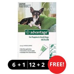 Advantage Small Dogs/ Pups 1-10lbs (Green) 6 + 1 Free