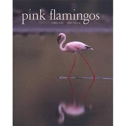 Pink Flamingos: Interviews With Jean-Louis Missika And Dominique Wolton = Le Spectateur Engage