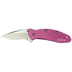 Kershaw Chive Assisted Folding Knife 1.9in 420HC Drop Point Blade Pink 6061-T6 Aluminum Handle 1600PINK