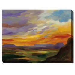 Sonoran Sunset Outdoor Art by West of the Wind in Multi