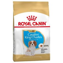 3x1.5kg Puppy Cavalier King Charles Spaniel Breed Royal Canin Dry Dog Food