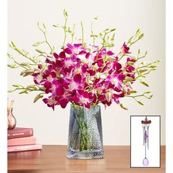 1-800-Flowers Flower Delivery Exotic Breeze Orchids 20 Stems W/ Blue Vase & Windchime | Happiness Delivered To Their Door