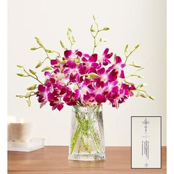 1-800-Flowers Flower Delivery Sympathy Orchids 10 Stems W/ Clear Vase & Windchime | Happiness Delivered To Their Door