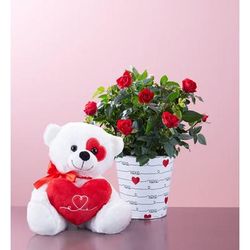 1-800-Flowers Flower Delivery Love Rose Plant Small W/ Plush | Happiness Delivered To Their Door