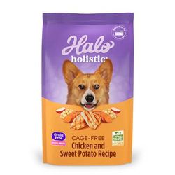 Holistic Complete Digestive Health Grain Free Chicken and Sweet Potato Recipe Small Breed Dry Dog Food, 10 lbs.