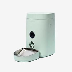 Green Wide View Cam Feeder, 4 Liters, Medium