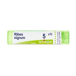 Ribes Nigrum 5Ch Gr 4 g Granuli