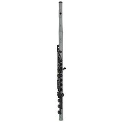 Guo New Voice C Flute Macarons