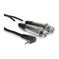 Hosa Technology Stereo Mini Angled Male to Two 3-Pin XLR Female Y-Cable - 1' CYX-401F