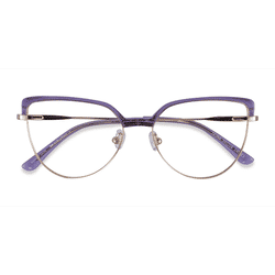 Female s horn Clear Purple & Gold Acetate, Metal Prescription eyeglasses - Eyebuydirect s Dona