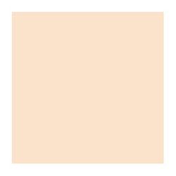 Rosco E-Colour 206 1/4 CT Orange (21 x 24" Sheet) 102302062124