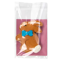 Premium Eco Clear Bags 5 15/16" x 8 3/4" 100 pack