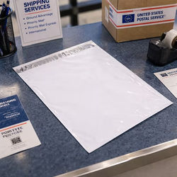 Poly Mailers Shipping Bags LDPE 12" x 15 1/2" 100 Pieces