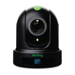 BirdDog Used Eyes P110 1080p Full NDI PTZ Camera (Black) BDP110B