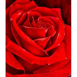 Rose Petals,'Signed Stretched Realist Oil Painting of a Red Rose'