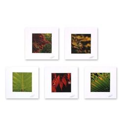 'Patterns of Life' (set of 5)