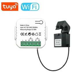 Misuratore di Energia Bidirezionale Smart WiFi con Pinza Switch + 1 Pinza 80A - Tuya