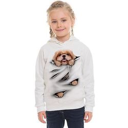 Da ragazza 3D Animali Gatto Felpa con cappuccio Manica lunga Stampa 3D Primavera Autunno Inverno Di tendenza Streetwear Adorabile Bambino 3-12 anni Esterno Giornaliero Al coperto Standard